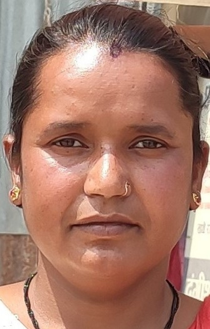मीना विक