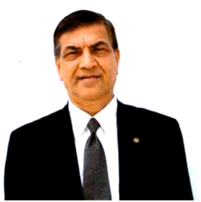 प्रो. गितु गिरी