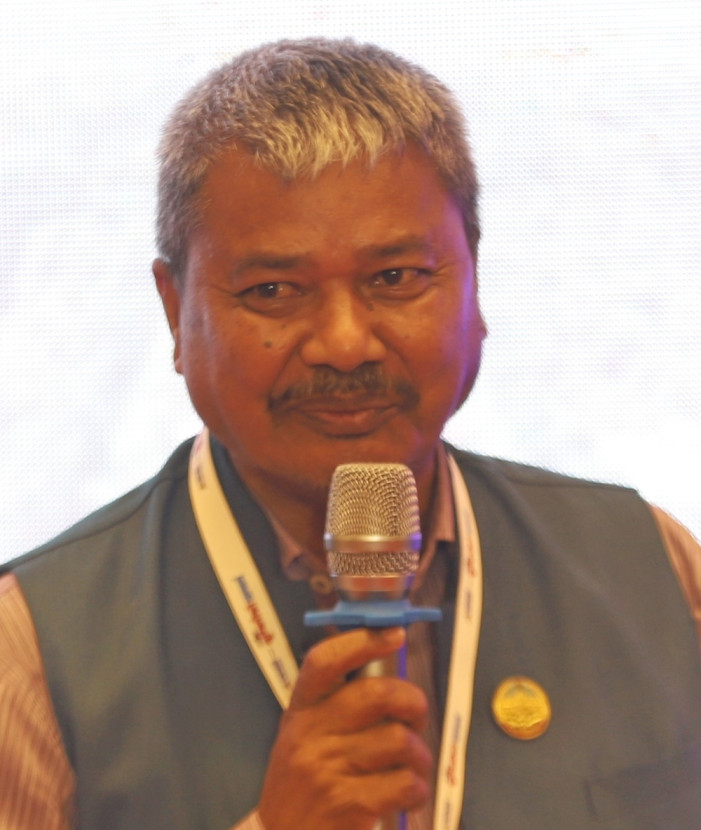 डिल्लीबहादुर चौधरी