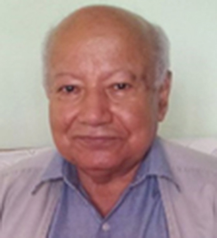 विद्यावीर सिंह कंसाकार