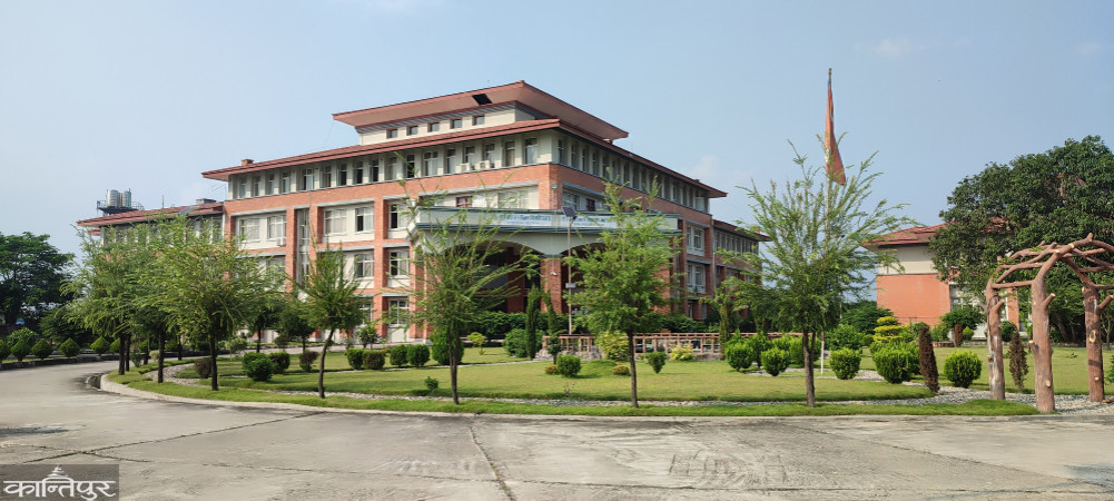 A strong presence in education and health