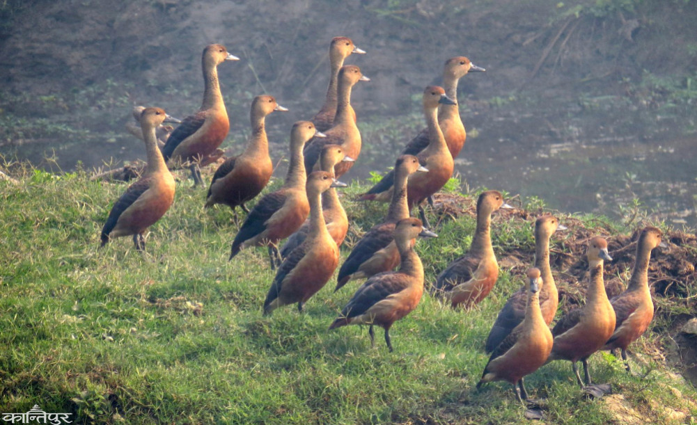 Chitwan can become the 'EP Centre' of Perthyan