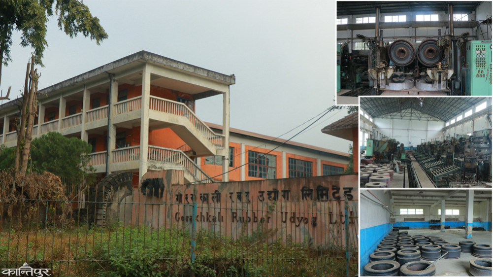 Gorakhkali Rubber Industry, Biratnagar Jute Mill and other public industries will be brought into operation