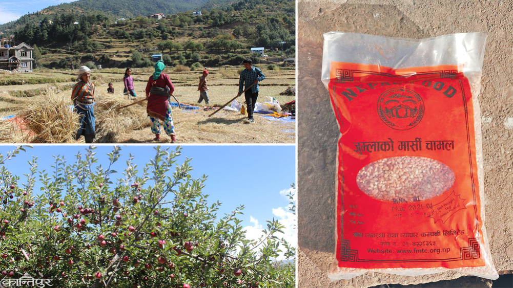Karnali products from Japan to America