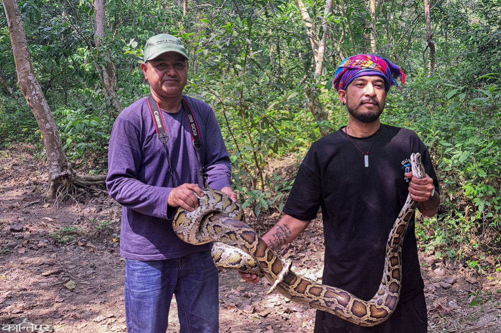 A friend of the snake