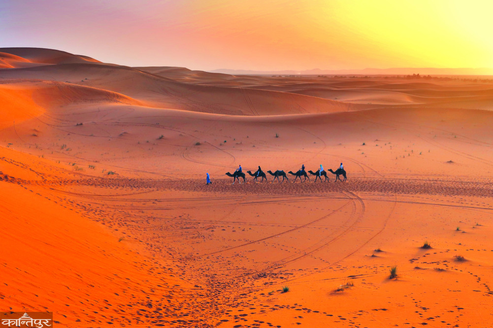 Sunset in the Sahara