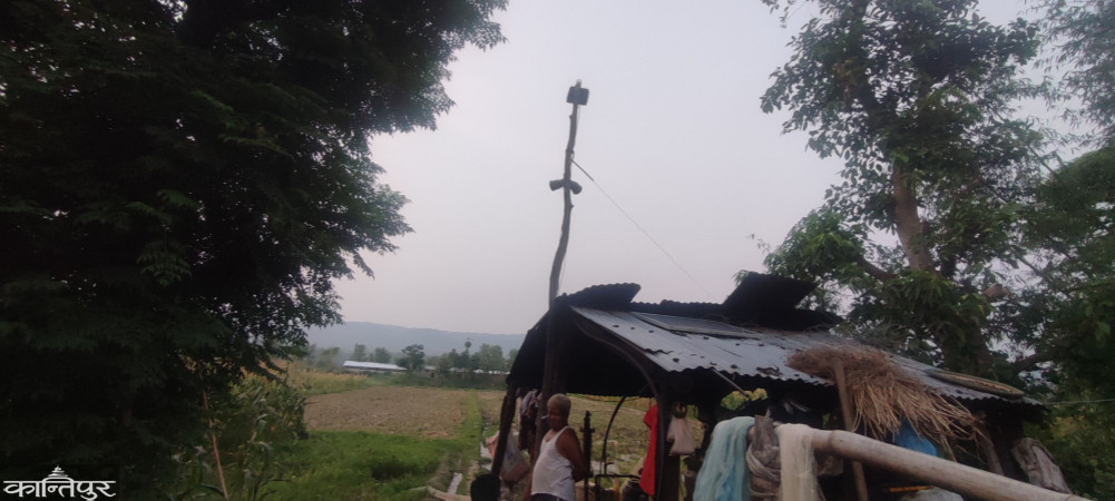 Electric shocks to protect wildlife, sirens to protect people