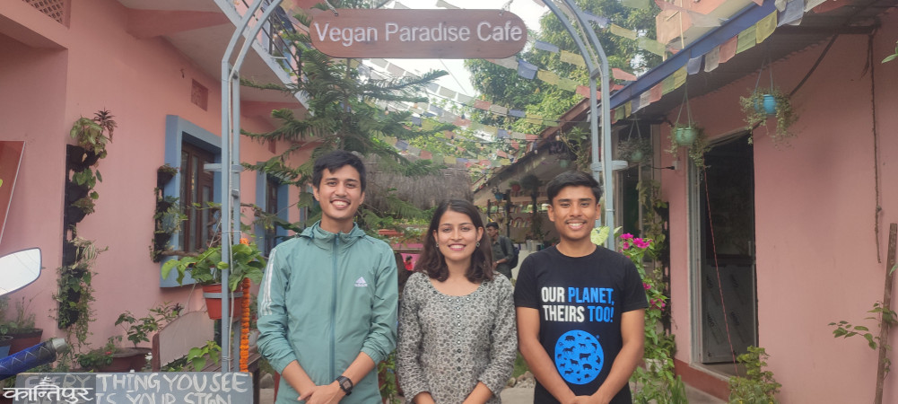 Animal Campaigners' Vegan Cafe