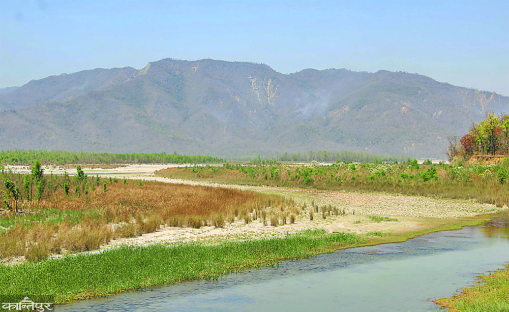 Why are rivers dying?