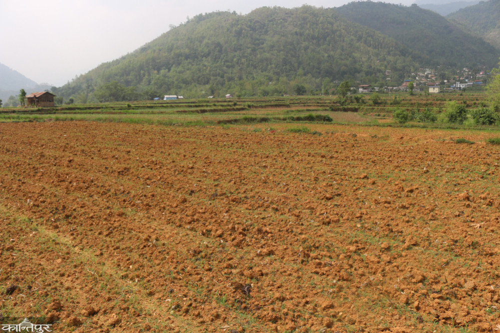 Drought changes farming 'calendar'