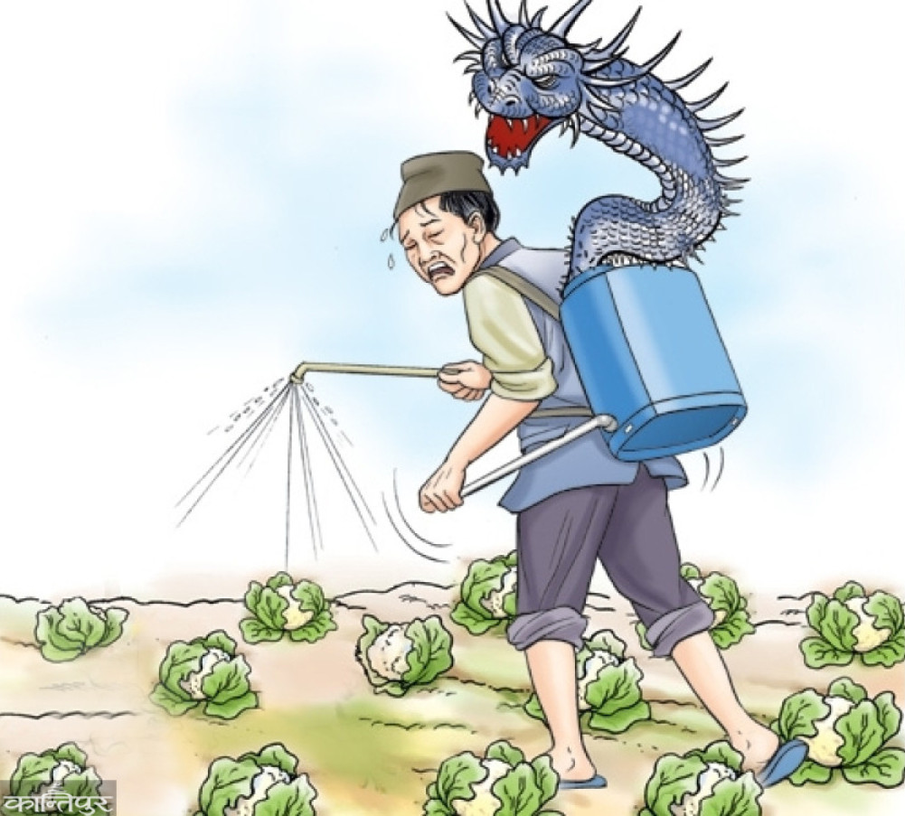 Has the use of pesticides in vegetables decreased or not been tested?