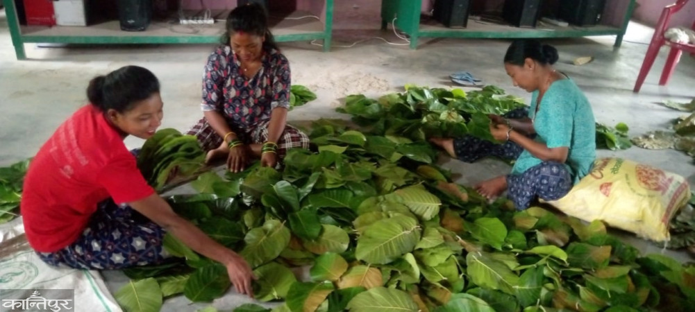 Duna-tapri made by Lalzhadi women up to Kathmandu and Pokhara