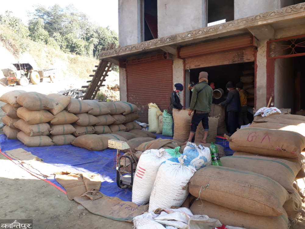 Khotang earned 52 crores from the sale of cardamom