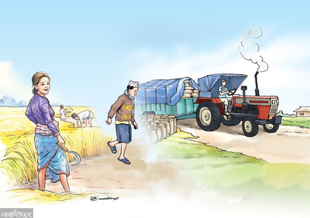 Seven provinces will be made 'Specialized Economic Centres'