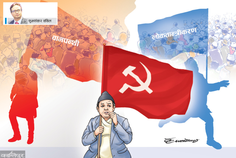 Democratization and the Left's Dilemma
