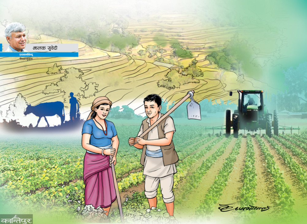 Structural stagnation in agriculture