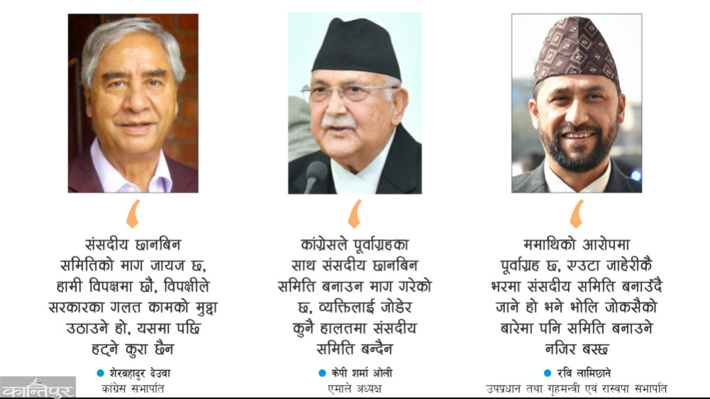 A resolution of public importance was filed by Congress MPs to investigate the assets since 047