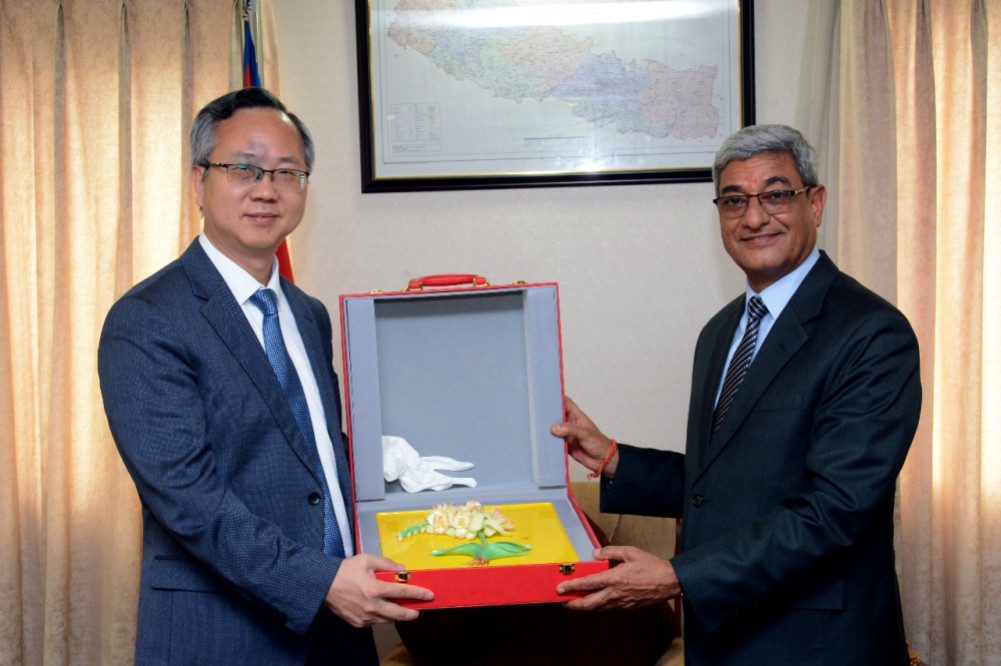 Home Minister Writer-Chinese Ambassador Chen Song meeting