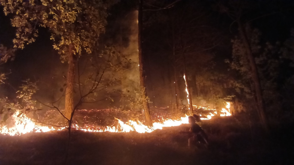 Budget arrangement for forest fire control