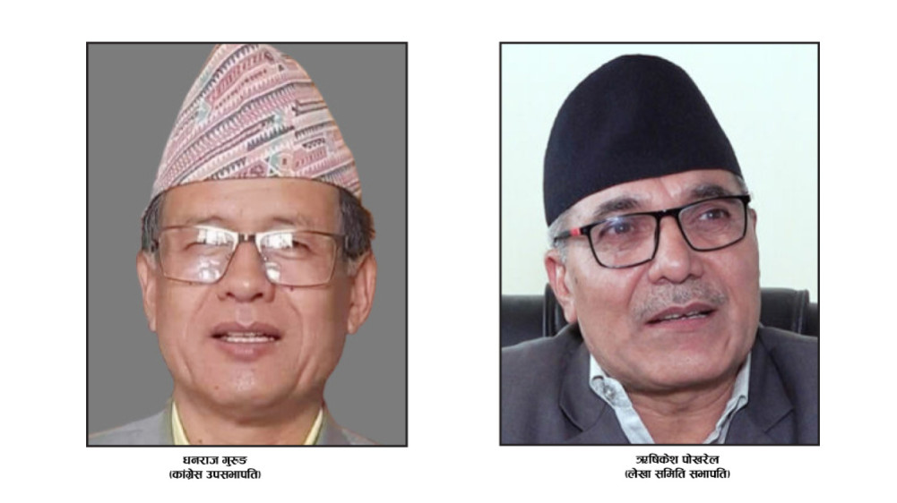 Congress Vice President Gurung and Audit Committee Chairman Pokharel were not investigated