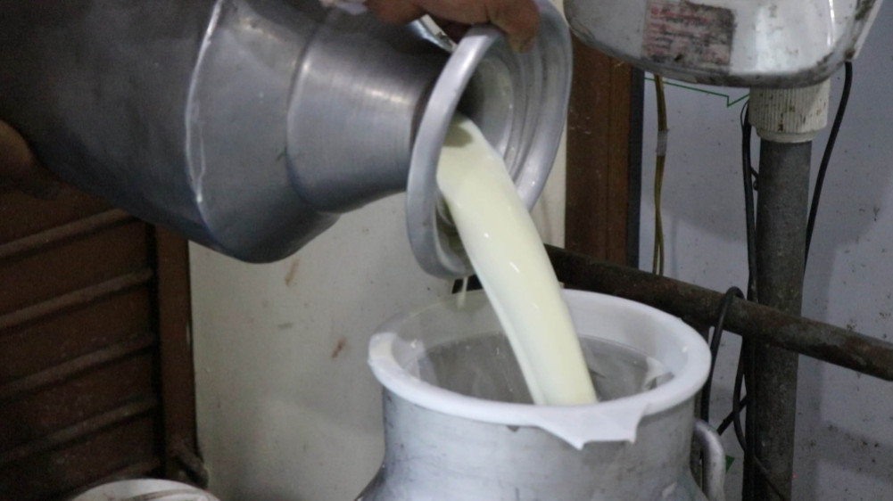 Bhimad Municipality to provide Rs 10 subsidy per liter of milk to farmers