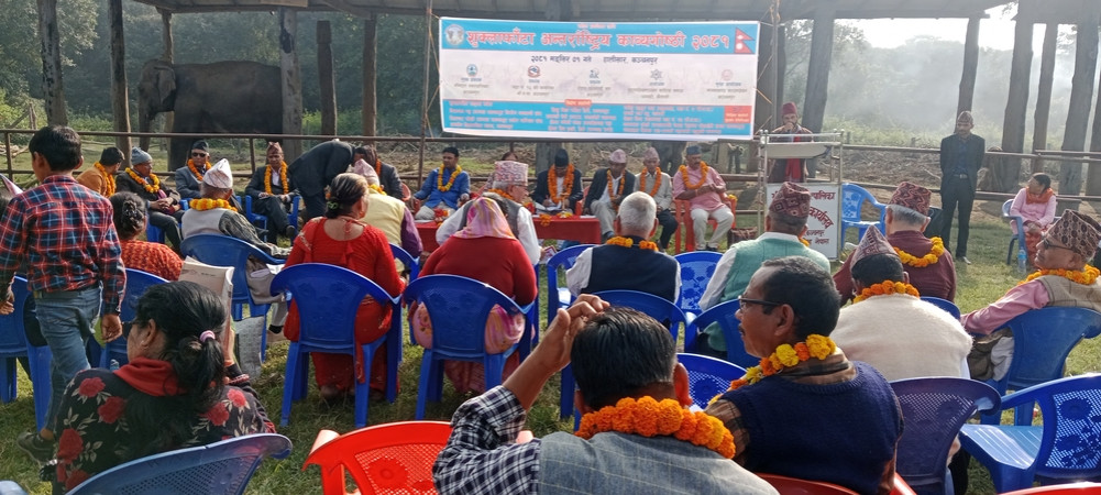 Poetry conference with elephants