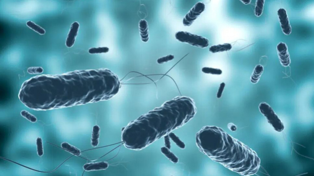 Cholera infection confirmed in two people in Pyuthan