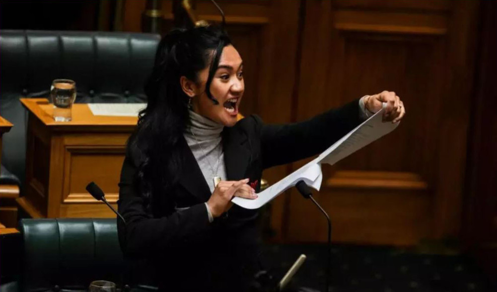 The youngest MP leading the Maori movement
