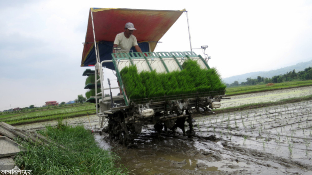 A Changing Metaphor in Agriculture