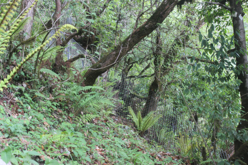 Tagging for conservation