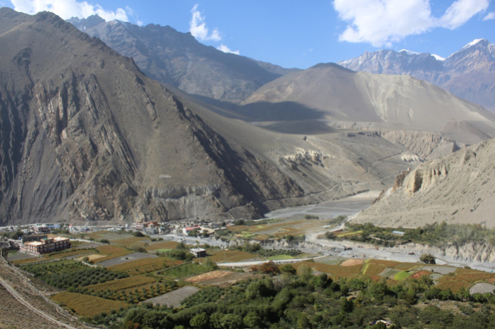 In 7 months, 11 tourists died in the Mustang