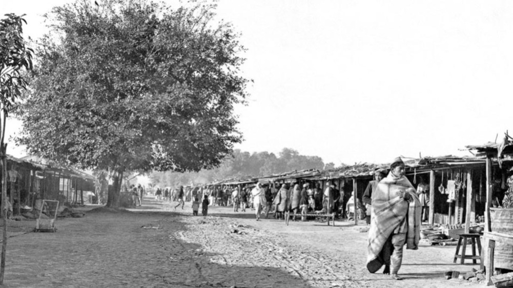 Bardia: Golden Past and Present