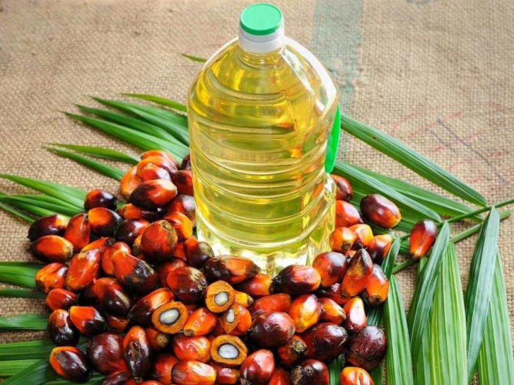 Why is nearly 1.3 million liters of palm oil stuck in customs?