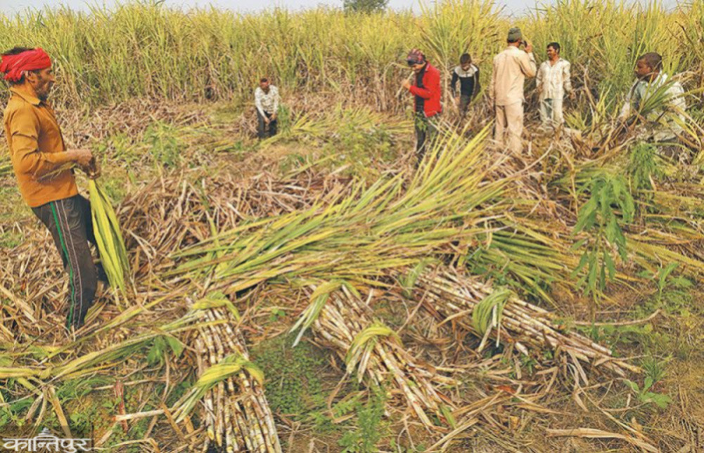 The agriculture budget decreased by 1.69 billion