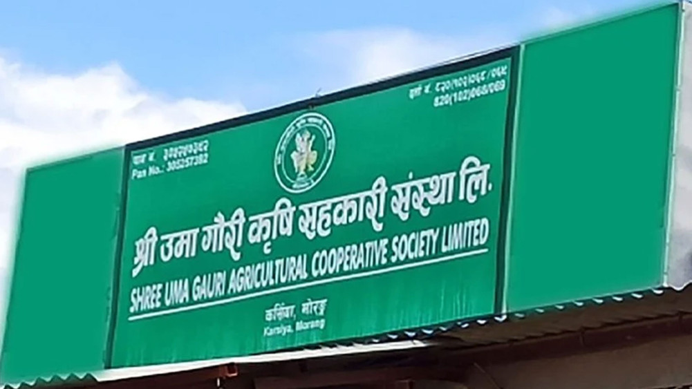 Umagouri Cooperative Fraud Case: Two judges differed in opinion
