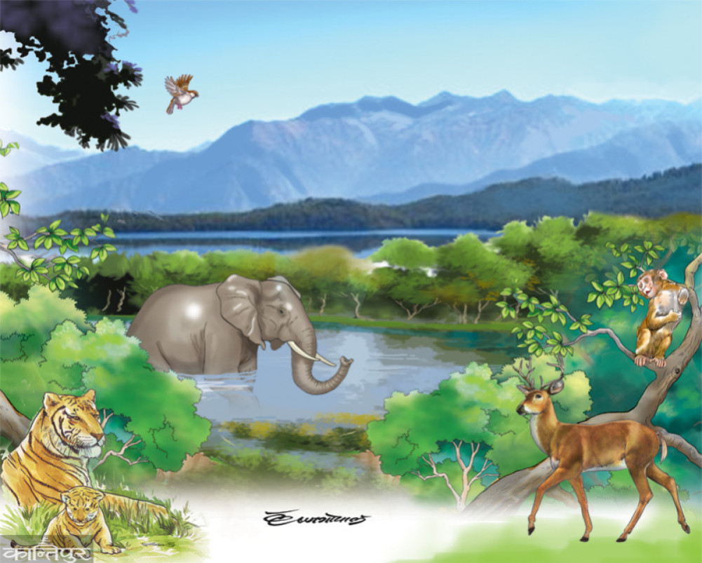 Wildlife and human relations