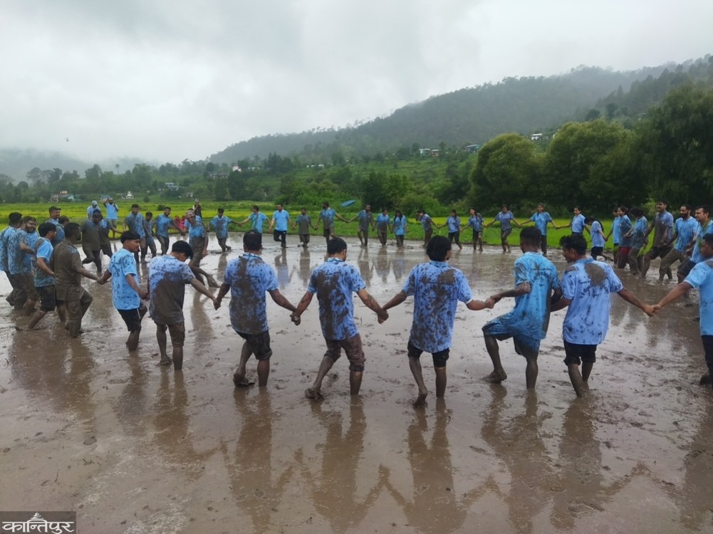 Deuda singing, planting rice