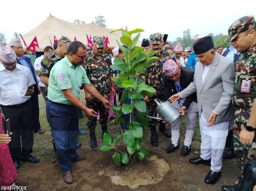 Today is the 11th Chure Conservation Day: The President planted a tree in Kawasoti