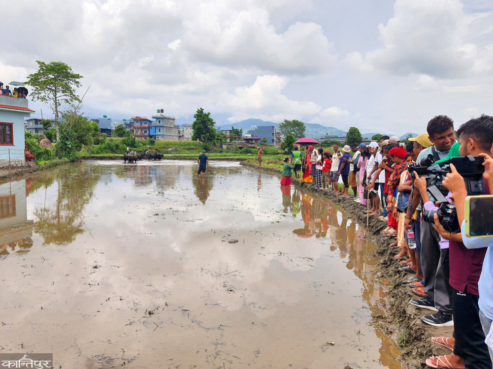 28 percent planting in Gandaki