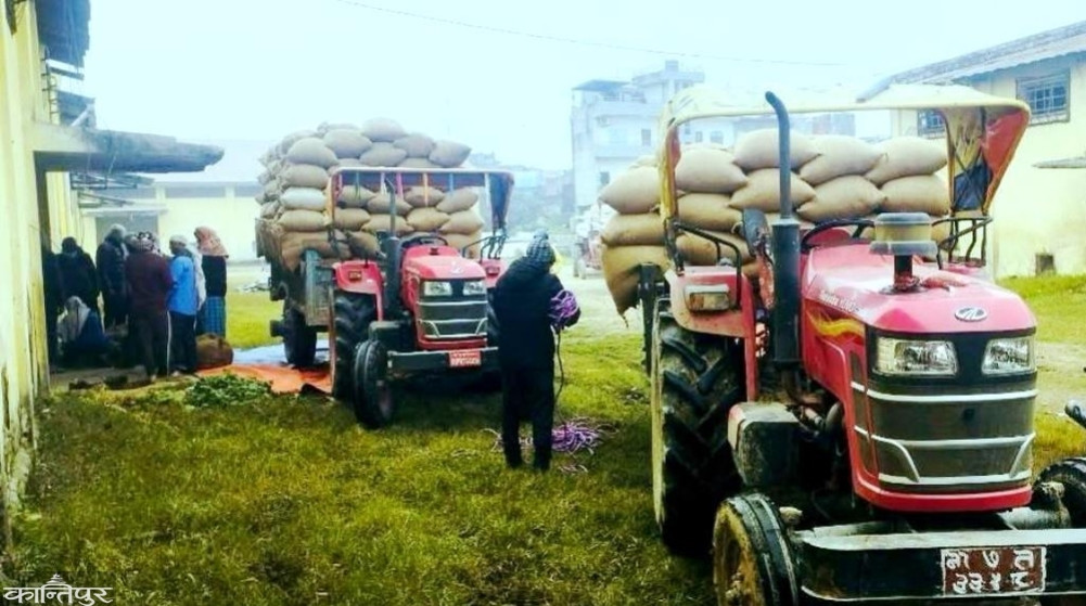 2,664 quintals of paddy purchased in 9 days in Birgunj