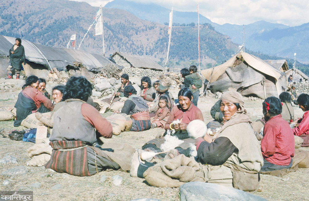 विदेशबाट मगाइएको ऊन शरणार्थीहरूलाई बाँडेपछि उनीहरूले गलैंचा बुन्न थाले (२०२१ फागुन) । तस्बिर : स्टुअर्ट उलम्यान