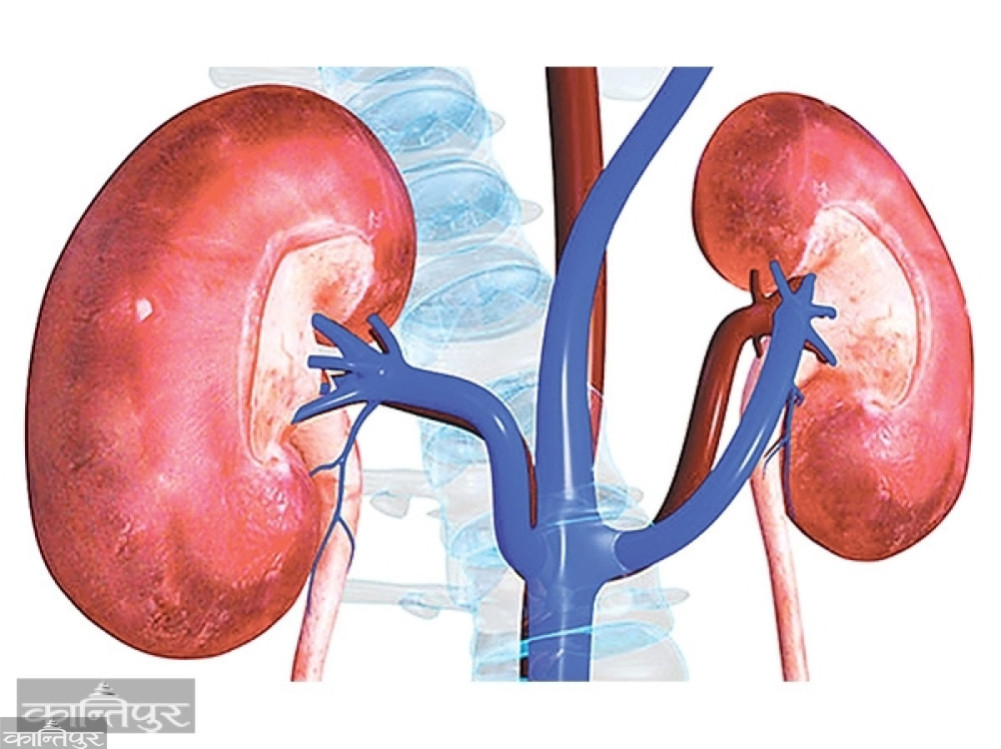 Why should we know about kidney disease?