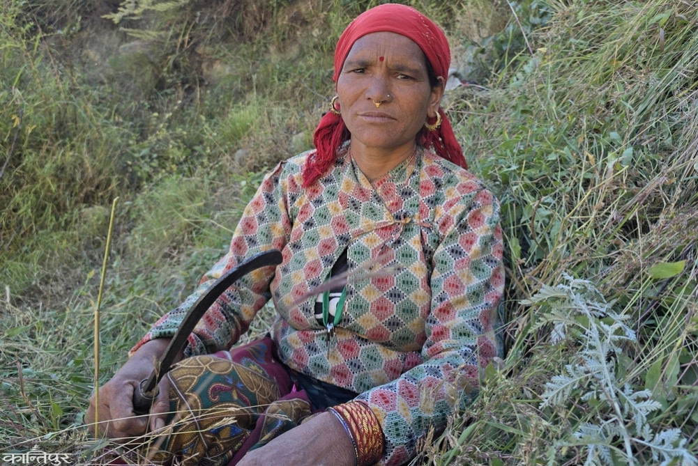 'We celebrated Dashain by asking for rice from my niece, I said I will return it after working'