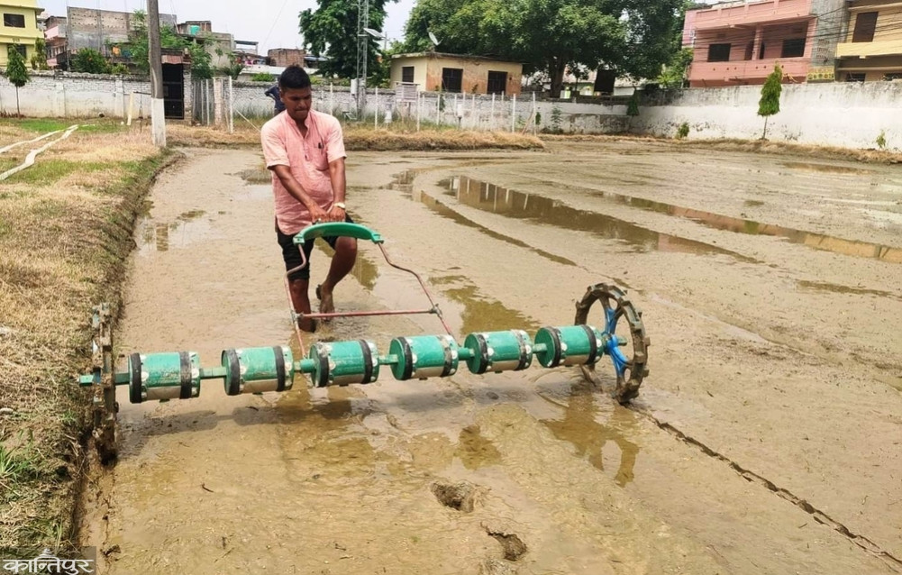 On-farm training for farmers