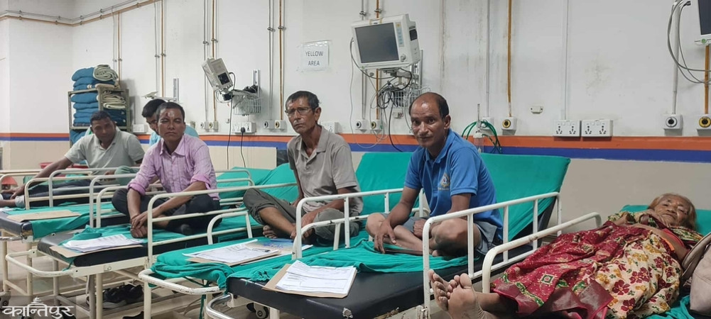 Seven people, including a pregnant woman, died when a bus-microbus collided near Chitwan Bhandara