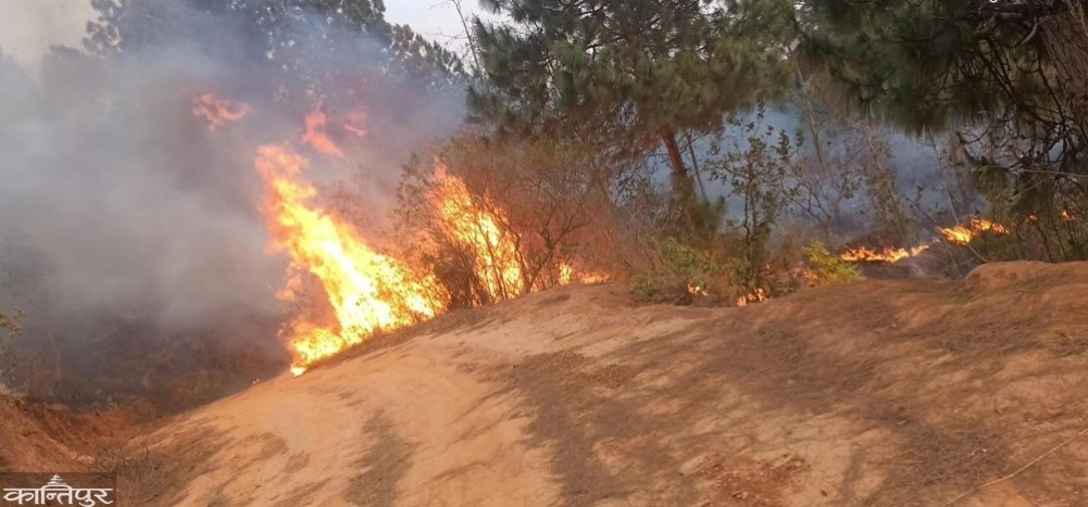 The death toll in the forest fire reached two