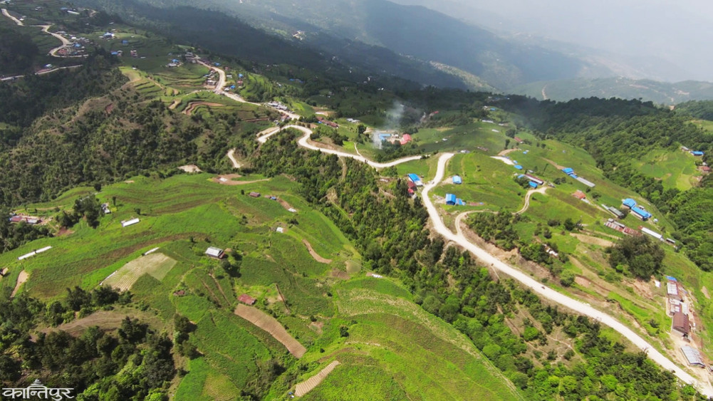 'It hurts when Shailung potatoes are sold as rotten!'