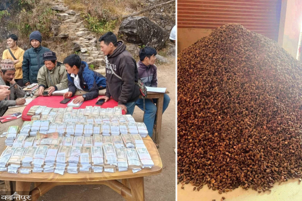 'Black Gold' brought in 12 million rupees