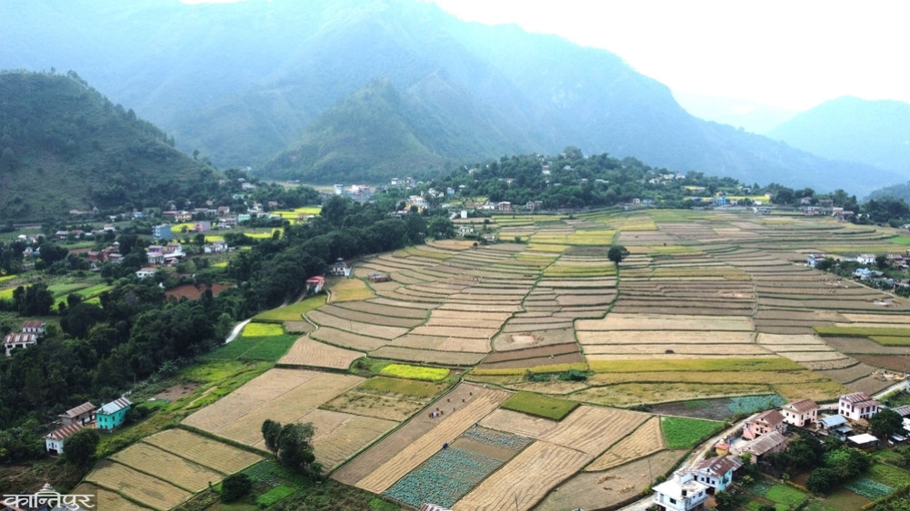 Palpa farmers preparing to cultivate rice worried by unseasonal rains
