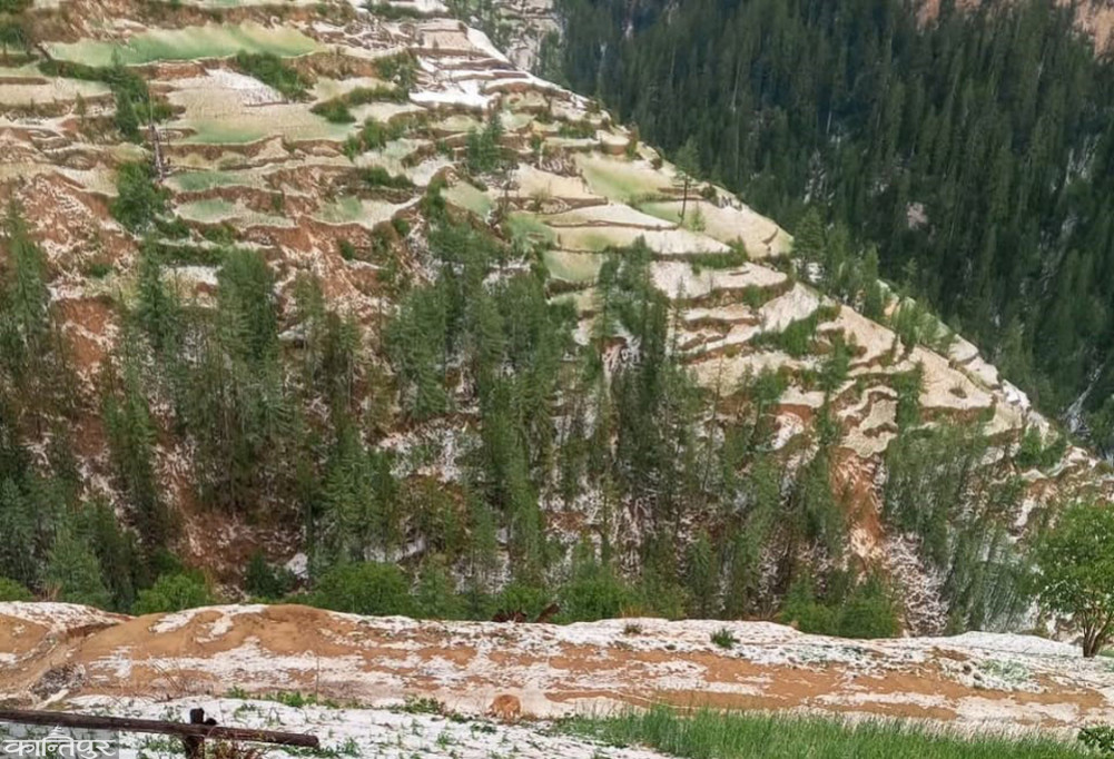 Hailstorm destroys crops at the time of fruiting
